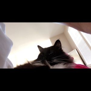 Meet your Posher, Perla